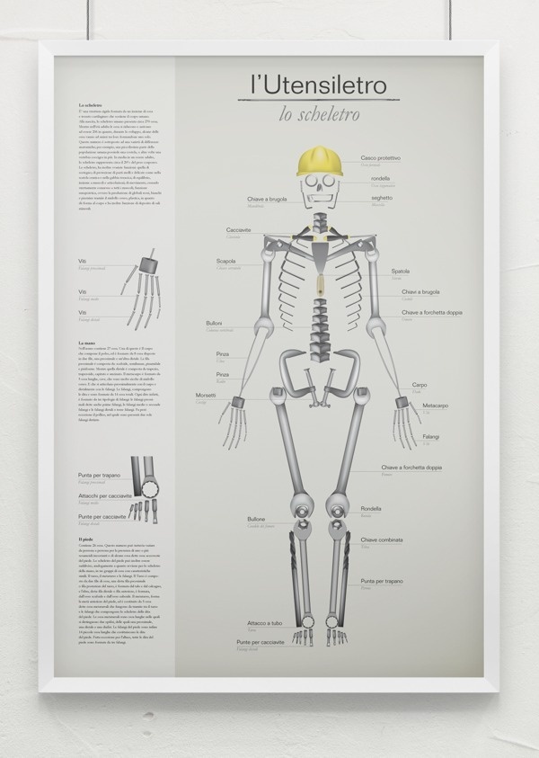 Multipurpose infographic