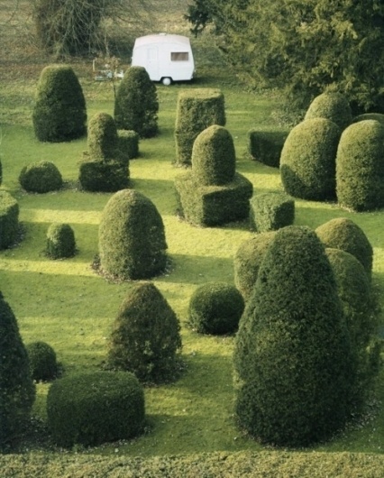 Growth. - Russian Carpet: Daily inspiration, trends, mood board. Architecture, art, design, fashion, photography. #inspiration #growth #board #russian #photography #carpet #mood #garden #trees