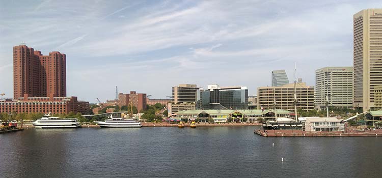 Celebrating Diversity in the WordPress Community