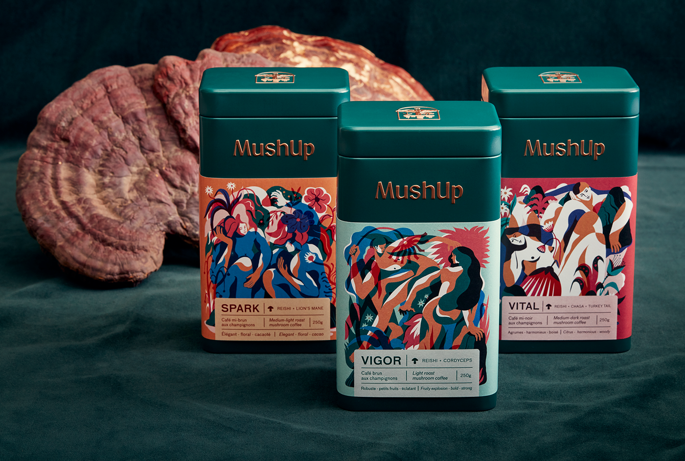 MushUp - Branding & Packaging